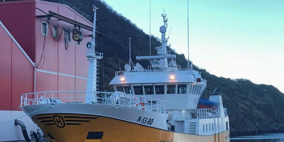 HJEMME: Fiskeriselskapet Skarholmen har byttet ut gamlebåten med samme navn, med båten du ser på bildet. Båten er tidligere «Sjøglans», nå «Hargo», som etter hvert skal få navnet «Skarholmen». Her ligger båten til kai ved Klausenbruket i Sørsjyen.Foto: Privat