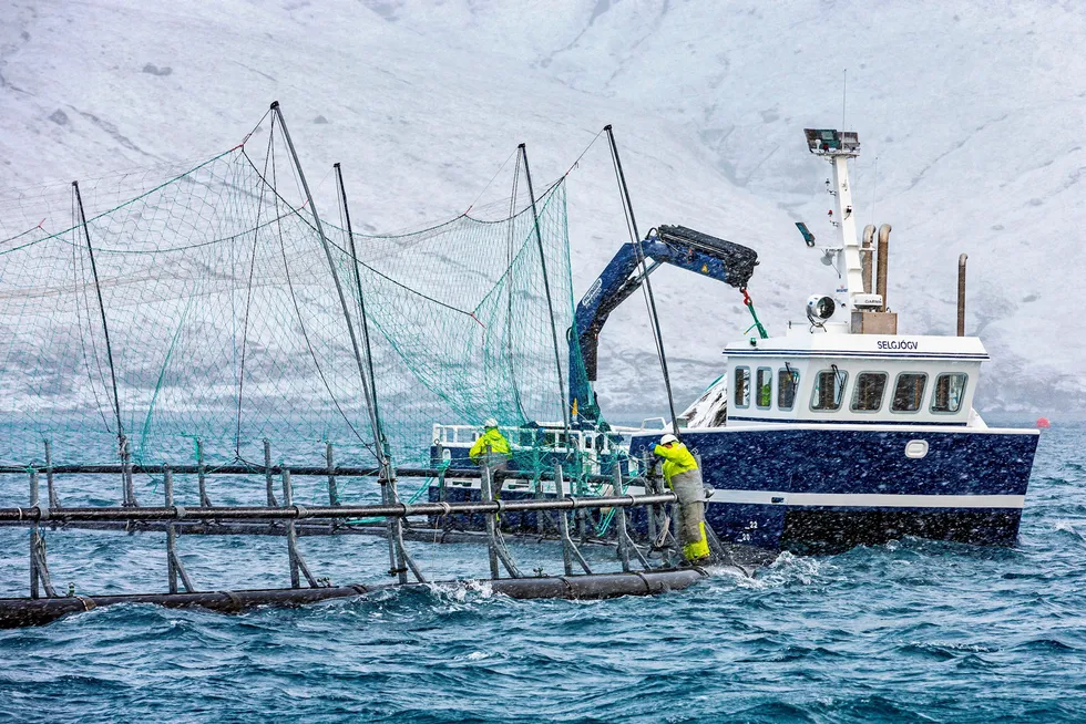 Faroese salmon farmer Bakkafrost's Gotuvik A-25 site. The group continues to be among the most valuable companies in the seafood industry.