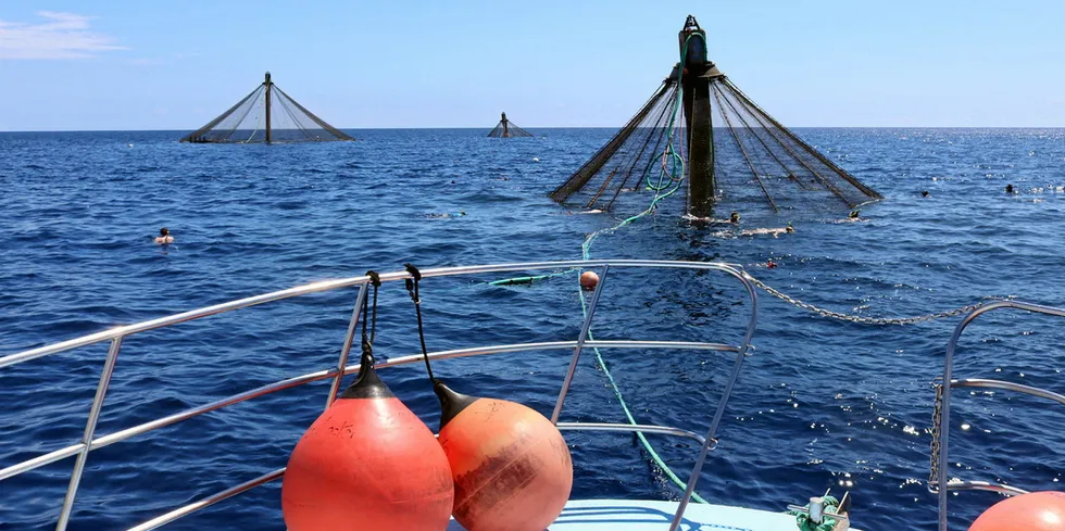Offshore aquaculture production designs in the United States is one of many advances highlighted by NOAA in a draft document that could be part of its national aquaculture plan.