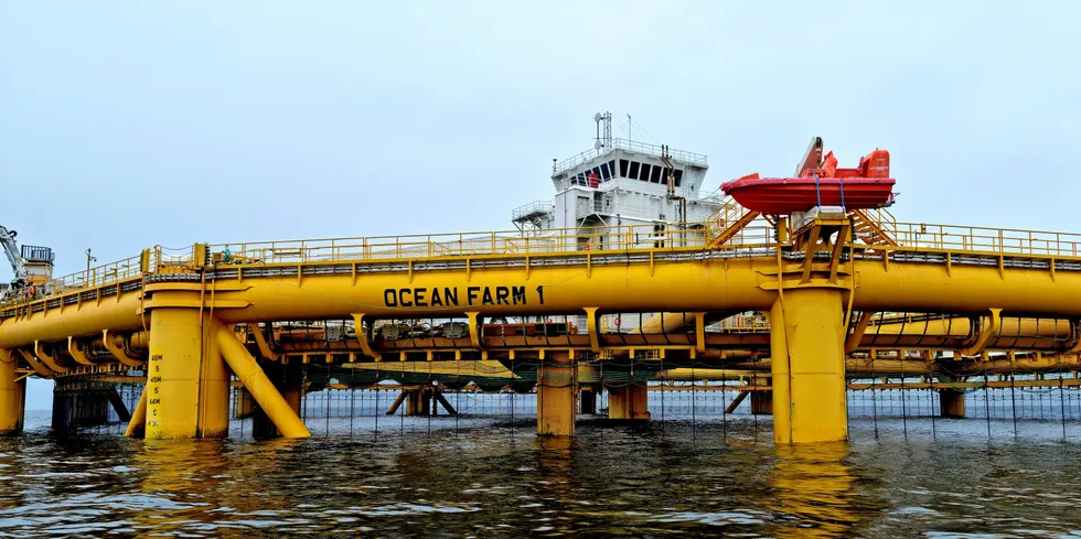 Salmars Ocean Farm 1 er på plass i Norge. Nå vil Island åpne opp for havbruk til havs også.