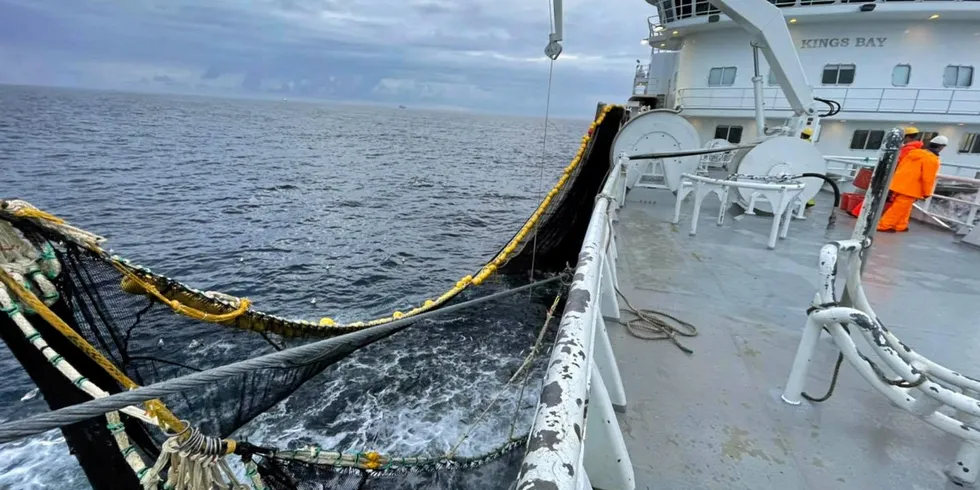 «Kings Bay» er med i den tallrike norsk makrellflåten som nå er over halvveis i mål med makrellkvoten.