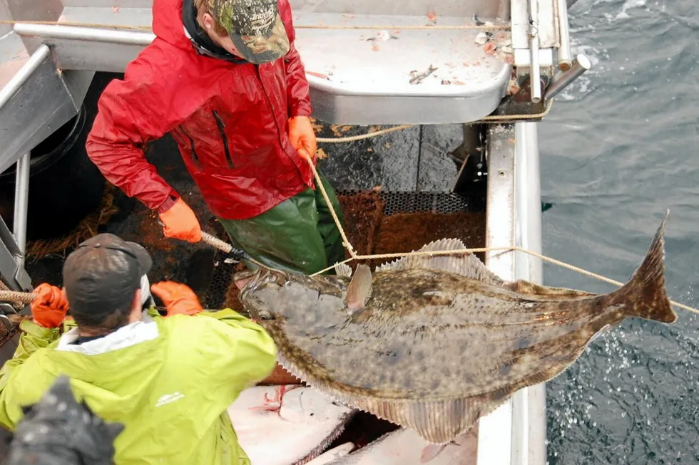 Alaska Longline Fishermen’s Association has long advocated for abundance-based management for halibut. The Groundfish Forum contends a bycatch measure recently implemented by NOAA does not solve challenges for the fishery.