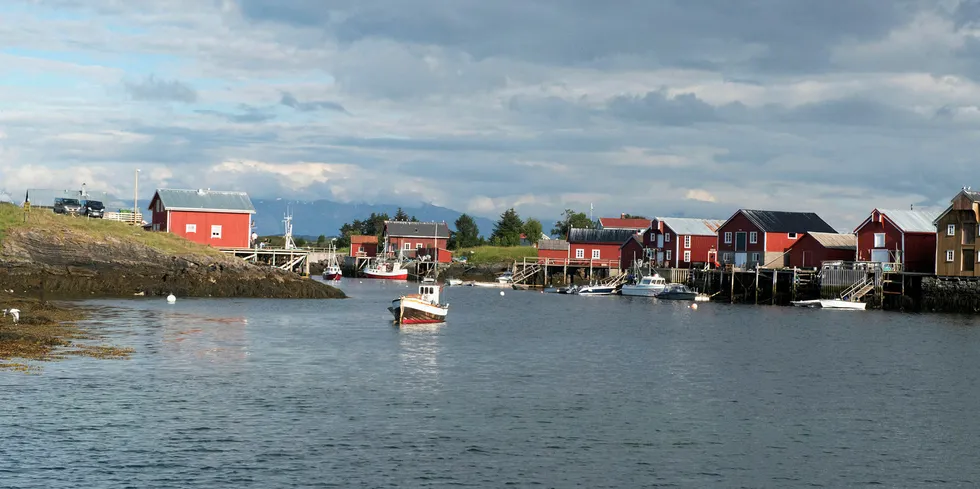 VERDENSARV: Bilde av dunværet Lånan i verdensarvområdet Vega. Mowi vet fortsatt ikke om de vil kunne sette fisk i sjøen på Rørskjæran i Vega.