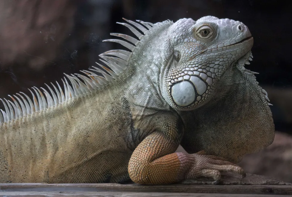 Ecopetrol plans up to 4 billion in investments for 2021 Upstream