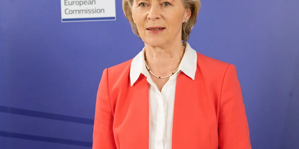 Ursula von der Leyen . European Commission President Ursula von der Leyen.