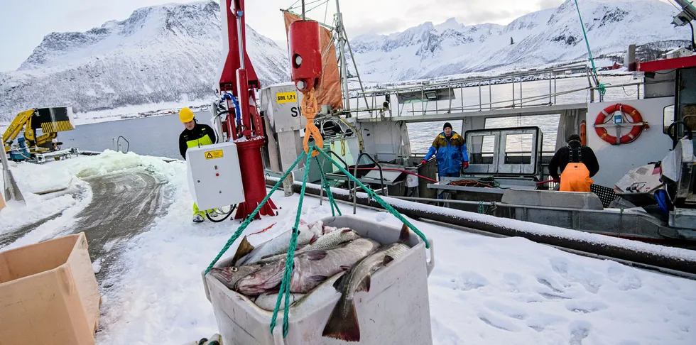 Det var vanskelig å rekruttere arbeidskraft til fjorårets vinterfiske.