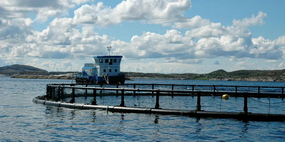 Emilsen Fisk i Vikna i Nord-Trøndelag.