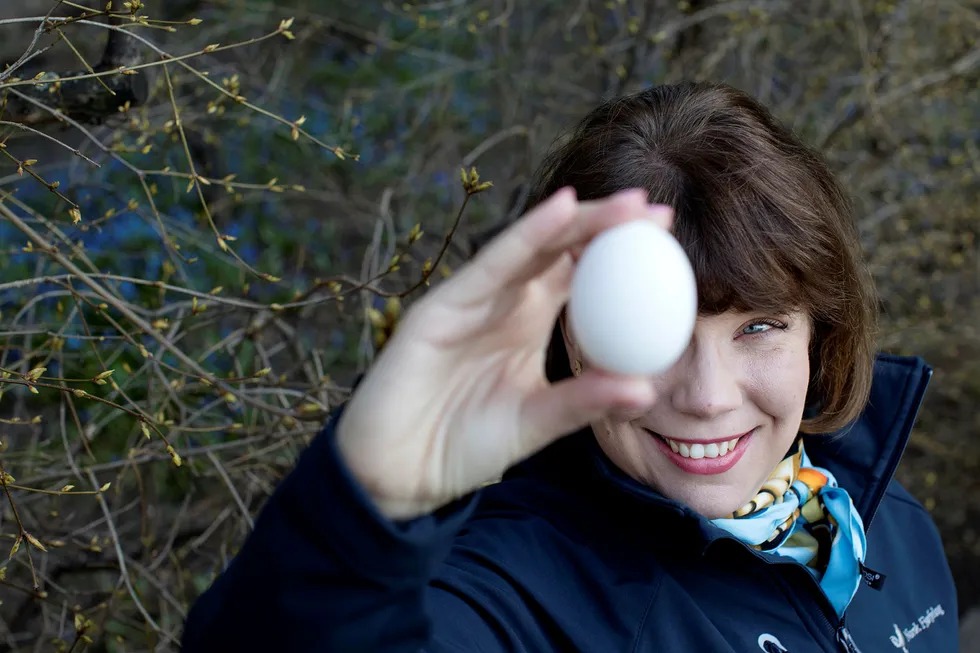 Eggefest. Nordmenn legger i seg 23 millioner egg i løpet av påskehøytiden, og det er ekstra stas for leder av Norsk Fjørfelag, Ylva Freed. Hun synes matvarebransjen burde fortsette å selge egg fra burhøns.