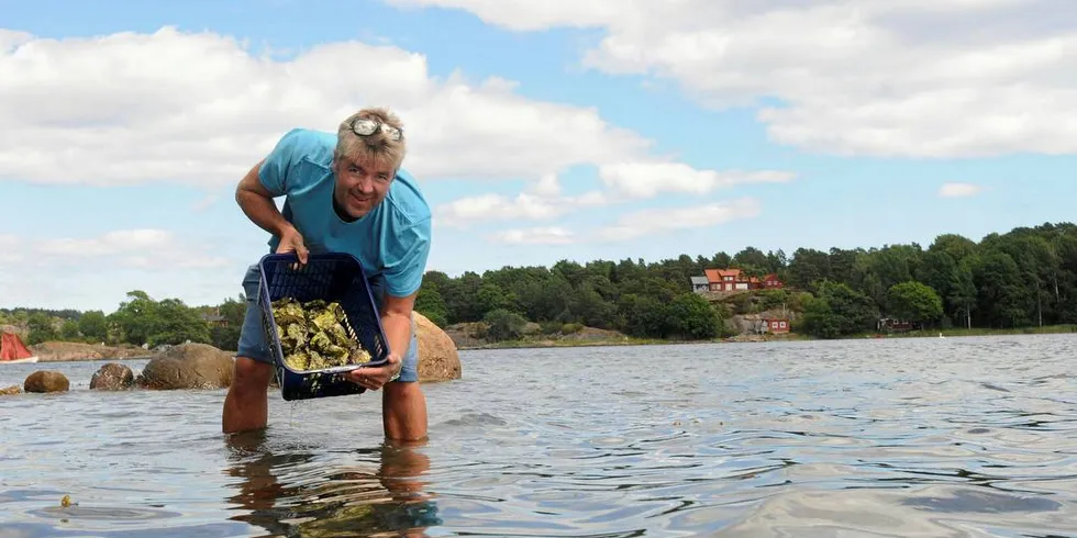 PLUKKER: – Det vi tror og er ganske sikre på er at med det norske sjømatryktet og bilder fra den fine naturen langs norskekysten, skal vi få til noe ganske bra, sier Espen Bierud som har startet selskapet Norwegian Shores.Foto: Kjersti Kvile