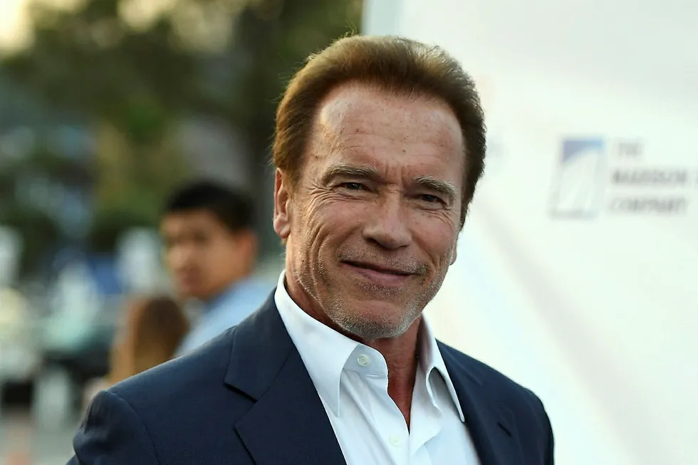 Talking tough: Arnold Schwarzenegger