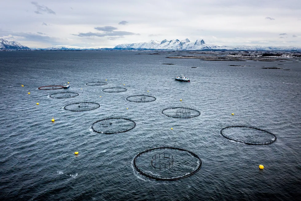 All of the suspected 2023 ISA reportings in Norway have now been emptied of fish.