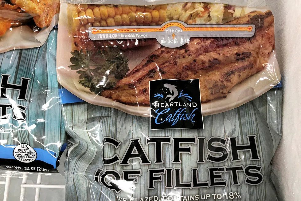 Despite a flood of effort to develop land-based salmon farming in the United States, catfish farming is still the country's aquaculture star.