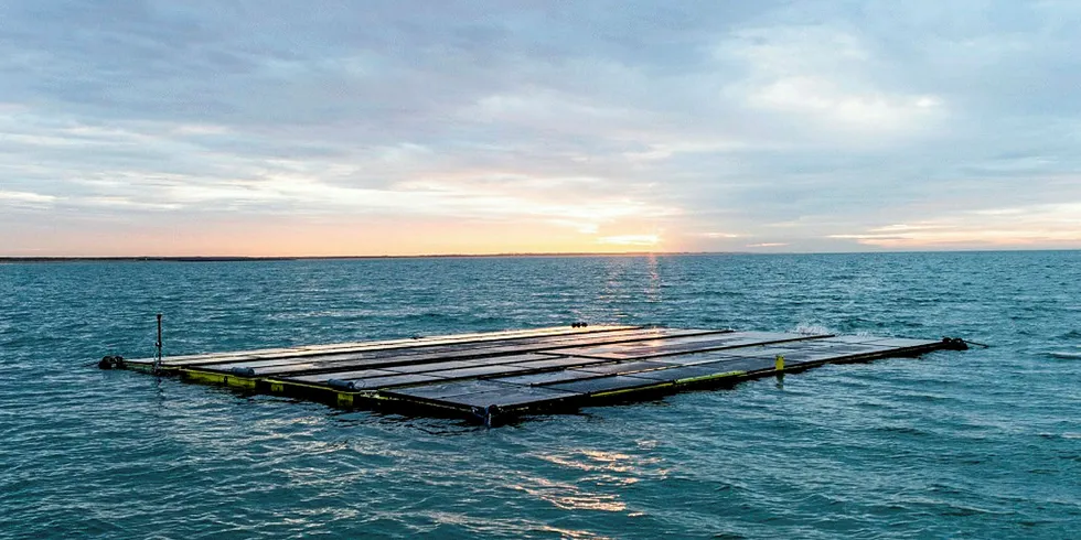 Oceans of Energy's Zon op Zee floating solar array off the Netherlands