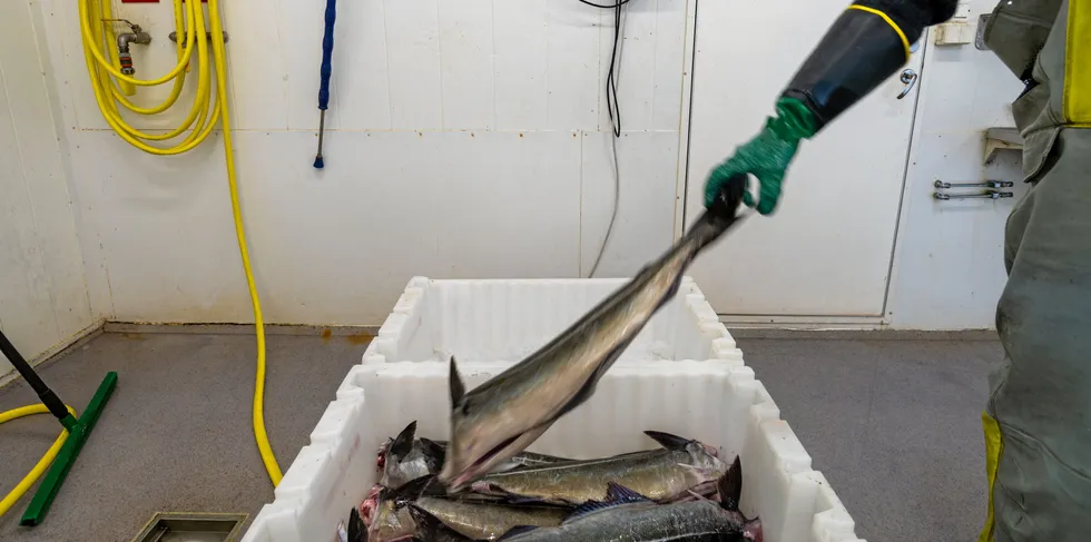 I Troms og Vesterålen er det få fiskekjøpere som holder åpent hele sommeren. På Helgeland holder mange sommerstengt, mens i Trøndelag, og på Nordmøre holder de fleste mottakene åpent sommeren igjennom.