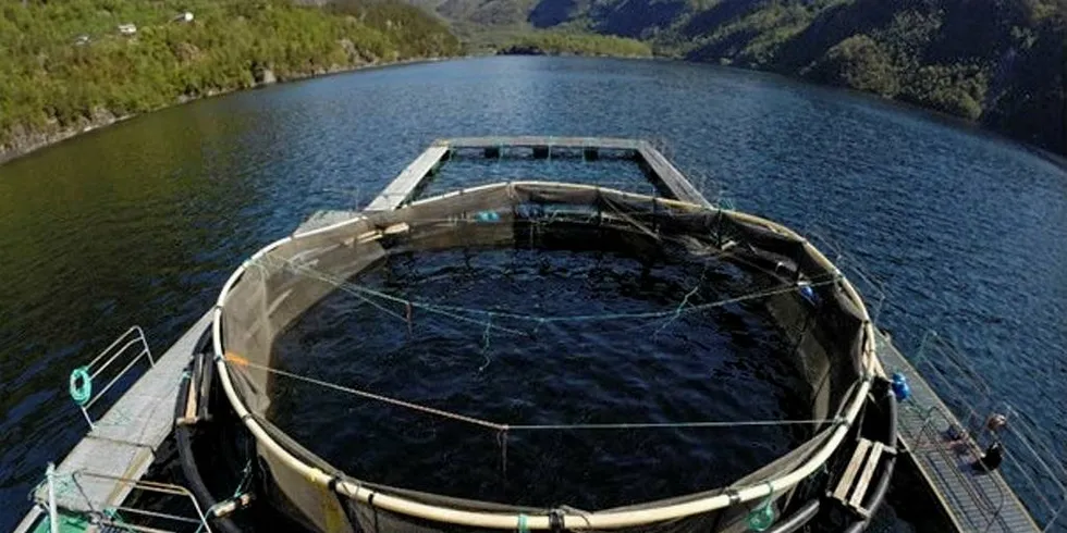 Skyvemerden i fart på Masfjorden med 1.500 laks med snittvekt på 3,4 kg. Da hastigheten nådde 1,25 meter per sekund var 2 prosent av fisken utmattet.Foto: Frode Oppedal