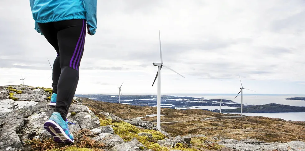 Vindkraften sto for én tredjedel av all kraftproduksjonen i Norden forrige uke.