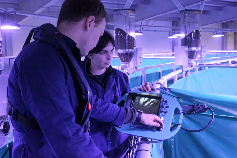 Workers at Fredrikstad Seafood's land-based salmon farming operation in Norway.