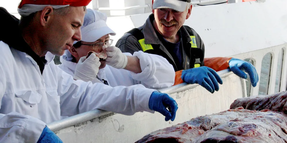 POPULÆRT KJØTT: Rune Frøvik (til venstre) i Lofothval merker at det har vært laber aktivitet på hvalfangstingen hittil, men de klarer foreløpig å serve kundene med kjøtt, forteller han.