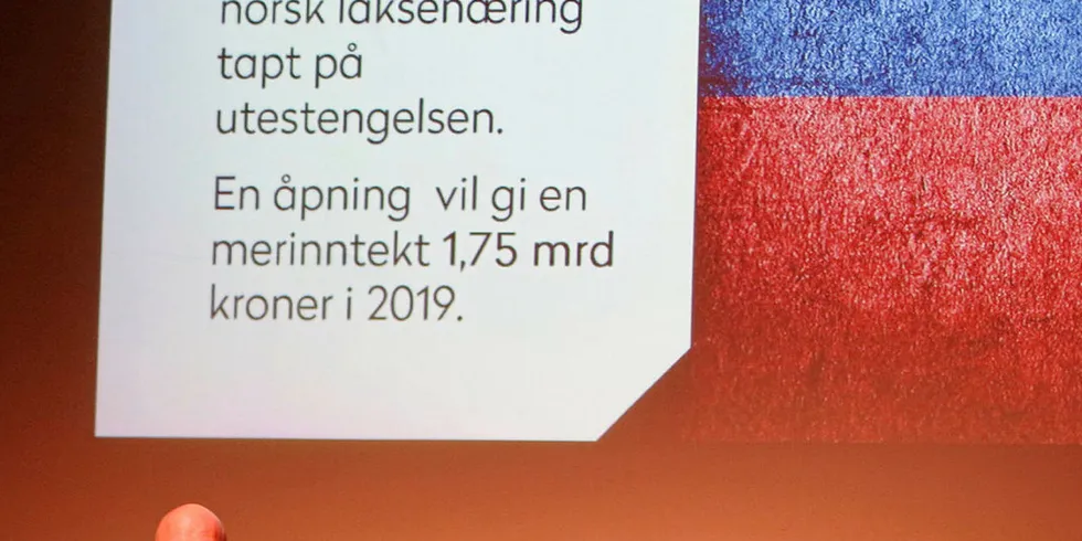 TAPT: Asbjørn Warvik Rørtveit, direktør for markedsinnsikt og markedsadgang i Norges sjømatråd viser til at norsk sjømatnæring har tapt 20 milliarder kroner på utestengelsen av laks til Russland. Når det gjelder sild, er tapet 5 milliarder.