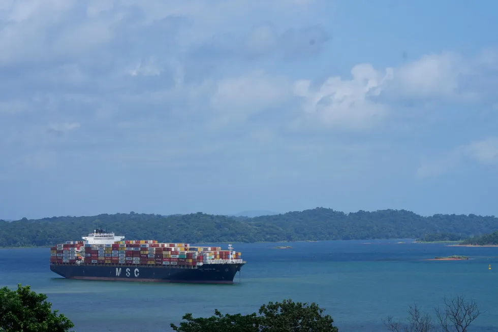 An MSC Mediterranean Shipping Company container ship waits on Gatun lake for its transit through the Agua Clara locks of the Panama Canal earlier this month.