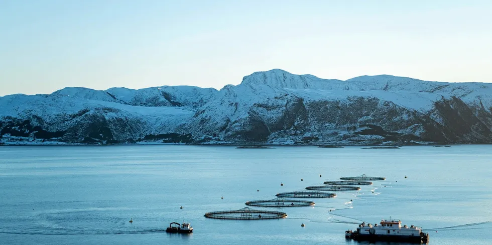 Salmon farming in western Norway. The picture is not related to the text.