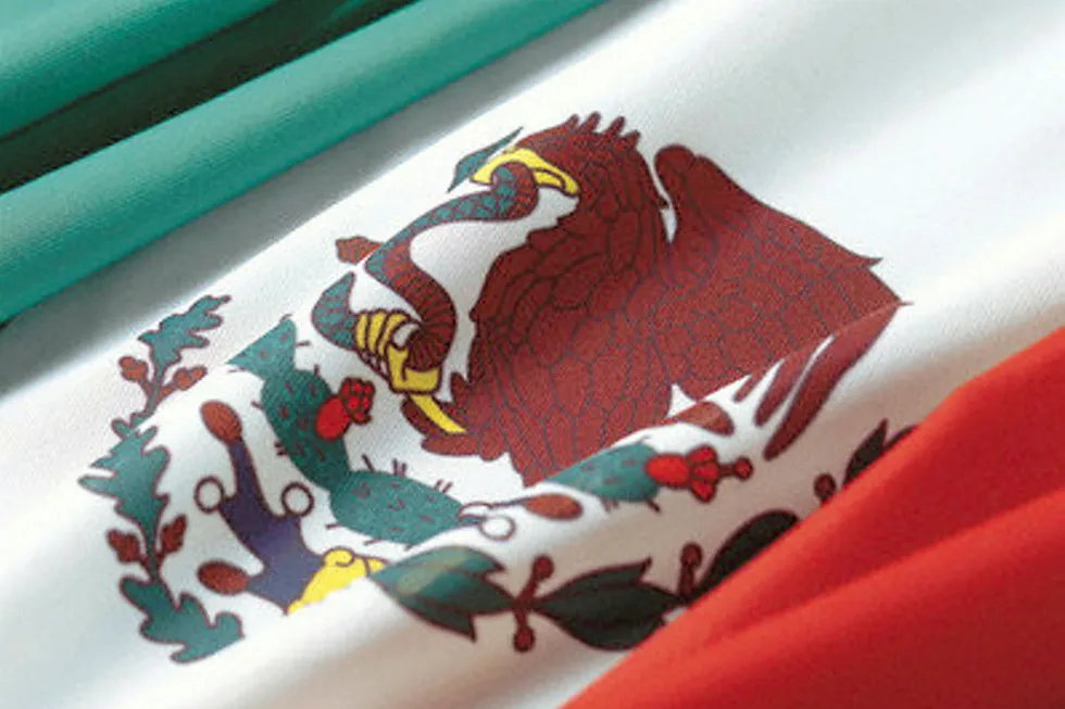 Mexico flag detail
