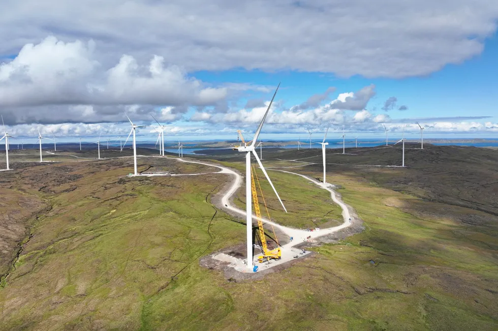 Vestas blade damaged at new flagship UK wind farm Recharge