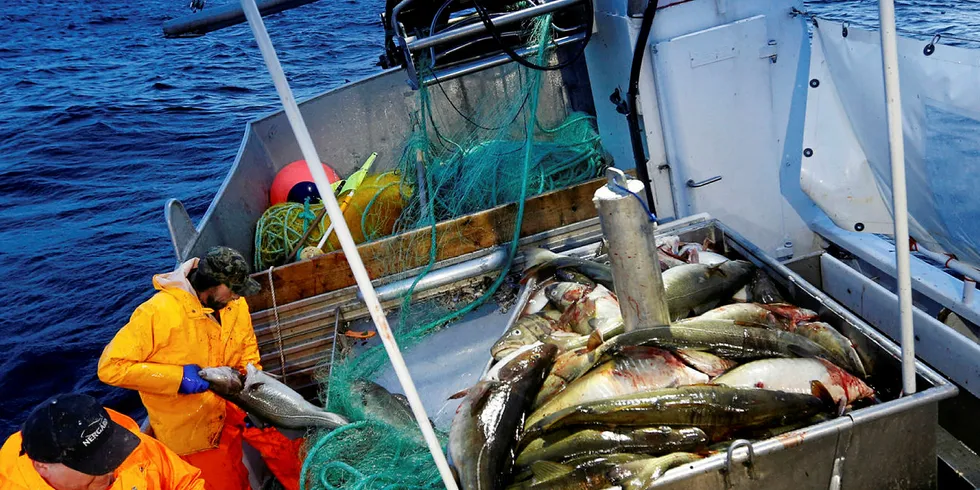 INNDRAR: Regjeringen regner med å få ressursrente fra utleie av kvoter de har inndratt fra fiskere som har strukturert og vil strukturere i fremtiden.