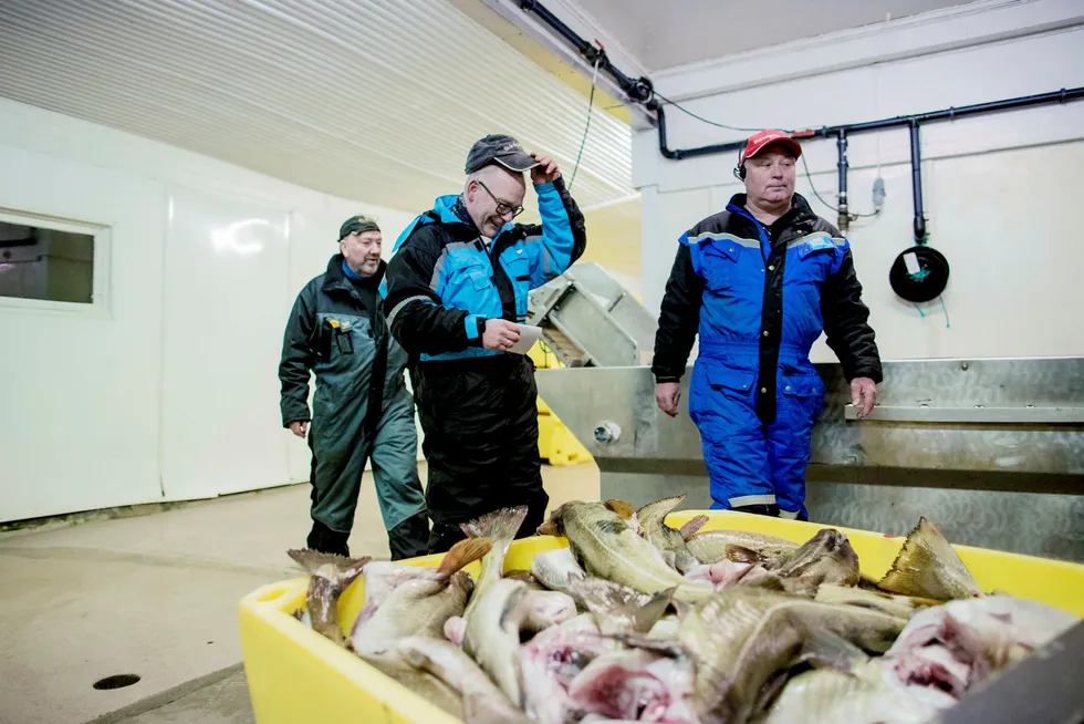 Fisker Jan Einar Fredriksen (i midten) smiler over prisen han fikk for torsken han nettopp har levert, mens daglig leder Jan-Arne Skog (til høyre) på Skårvågfisk as sier det er knallhard kamp om torsken. Produksjonsarbeider Kjell Ottar Larsen til venstre.