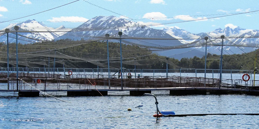 Anlegg tilhørende Salmones Magallanes.