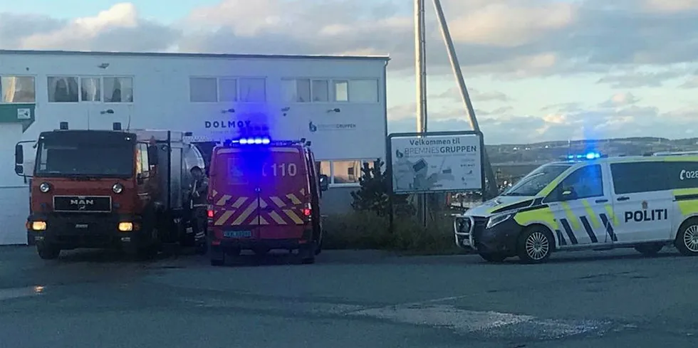 Dolmøy Seafood driver blant annet med røyking av laks og annen fisk.