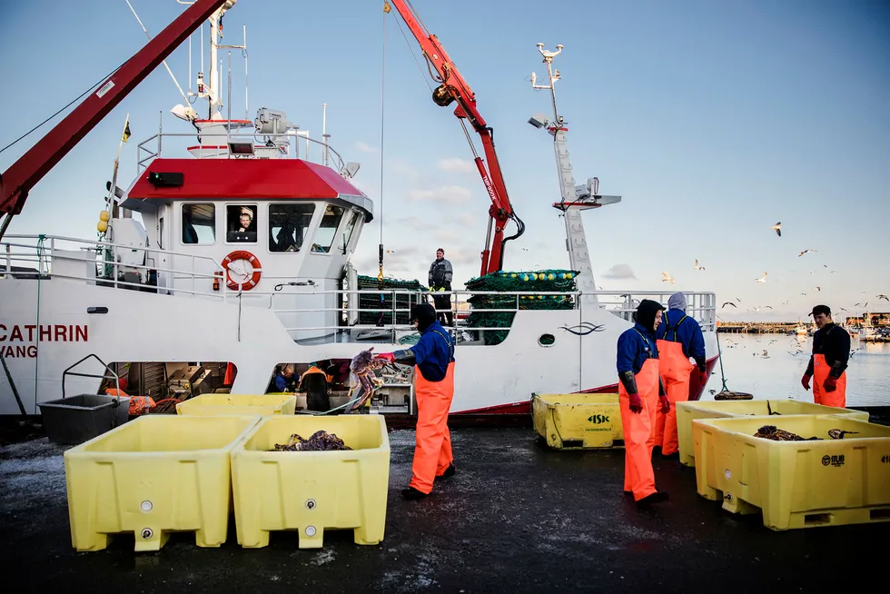 På åtte dagers fiske tjener mannskapet på fiskebåten Vibeke Cathrin til sammen 730.000 kroner på krabbefangsten. Foto: Per Thrana