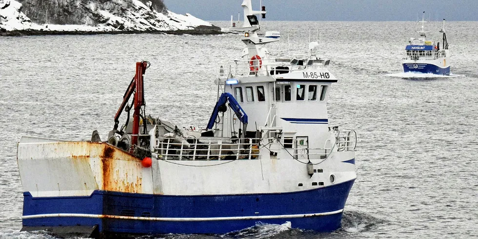 INNENFOR: «Storholm» (nærmest) har med sine 14,7 meter fri adgang til å fiske sild med not innenfor fjordlinjene, mens den større sildeflåten må søke til fiskerimyndighetene når silda dukker opp. I bakgrunnen «Havglimt» fra Vannareid.