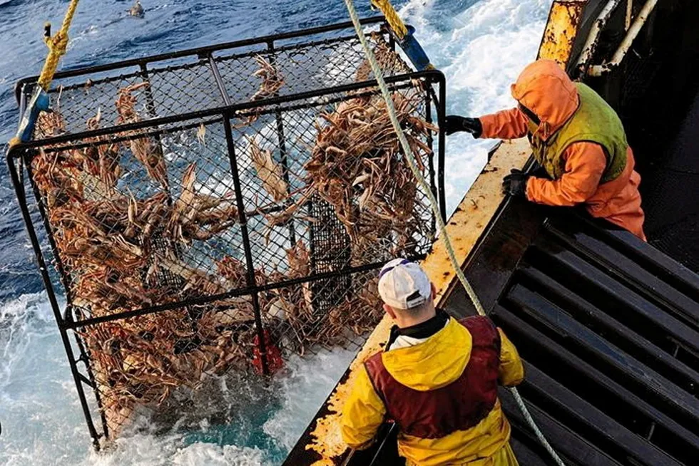 Alaska's salmon and crab fisheries in particular have been deeply impacted by climate change in recent years, with several groups asking for new conservation and management efforts.