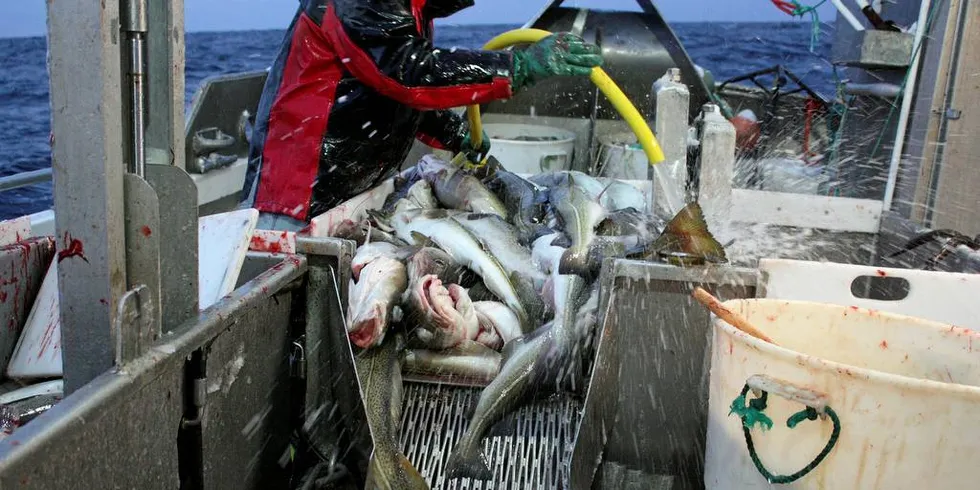 VIL VÆRE MED: Den mindre kystfiskeflåten i nord vil ikke lenger være med på å avgi kvote til ordninger som hovedsakelig kommer den største flåten til gode.Foto: Arne Fenstad