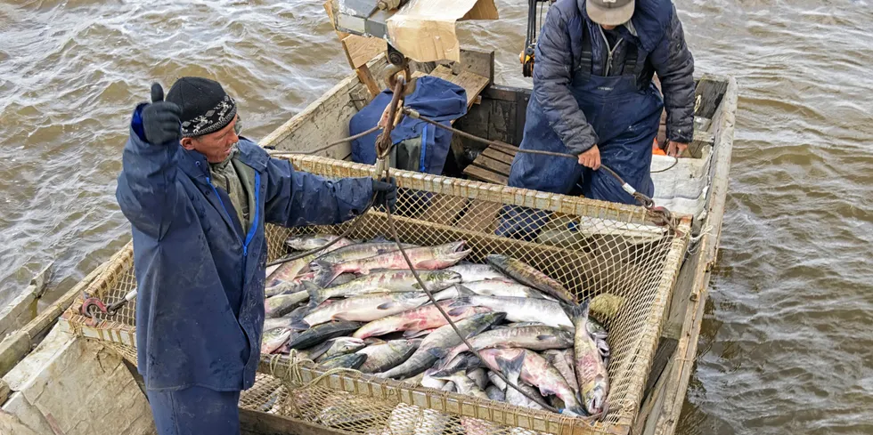 According to preliminary data from Russia’s federal statistics service, Rosstat, the volume of the country’s seafood exports climbed 13 percent through November year-on-year to 2.1 million metric tons, worth $5.2 billion (€4.8 million).