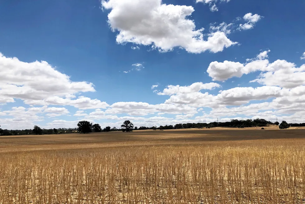 Government support: FutureEnergy’s renewable diesel project, to be built at Narrogin, was recently awarded A$2 million from the Clean Energy Future Fund