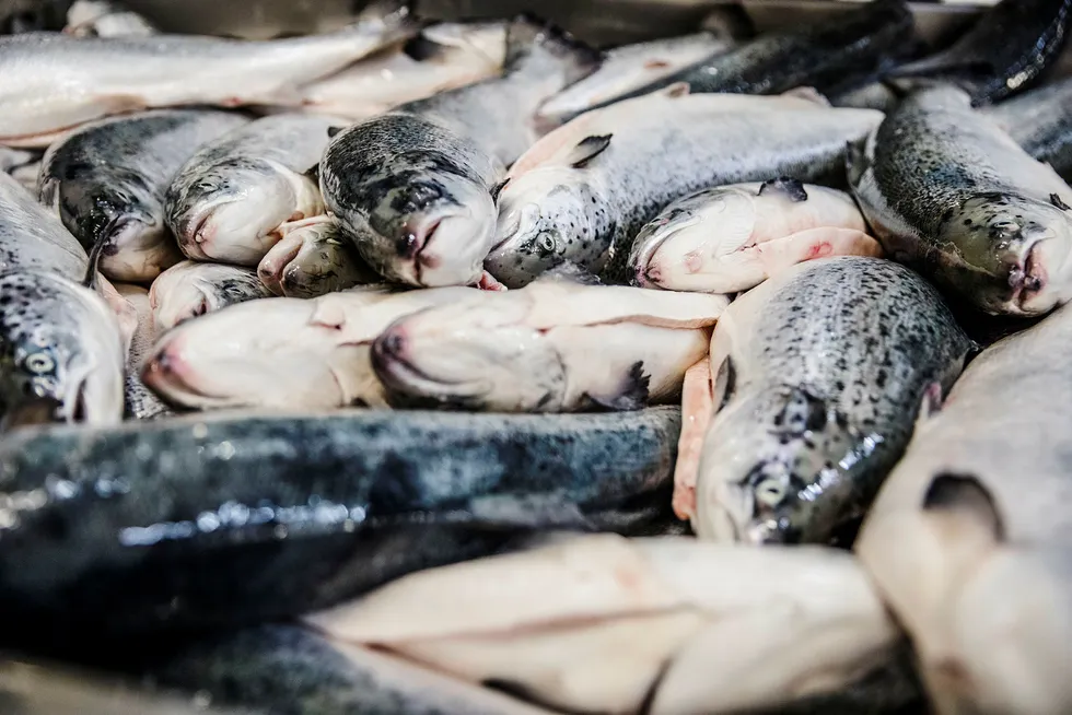 Grieg Seafood har oppdrettsanlegg i Finnmark og Rogaland i Norge, Britisk Columbia og Newfoundland i Canada og på Shetland.