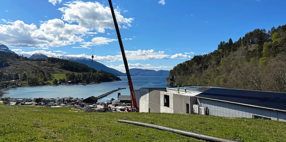 Biofish produserer settefisk på Ljones i Kvam, sørøst for Bergen. Bildet er fra mai 2023.