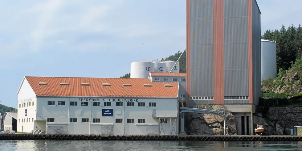 Pelagia Egersund ble anmeldt for omfattende juks, men politet har henlagt saken.