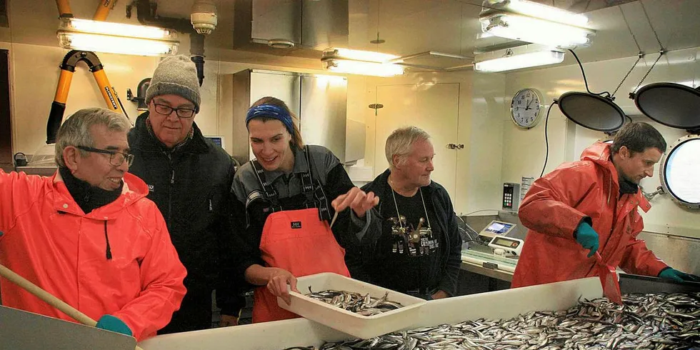 KVINNEMANGEL: Det er få kvinner blant de ansatte på Havforskningsinstituttet. Her fra et tokt der forskere og teknikere sorterer lodde, der bare en av de fem er en kvinne. Arkivfoto: Georg Skaret/Havforskningsinstituttet