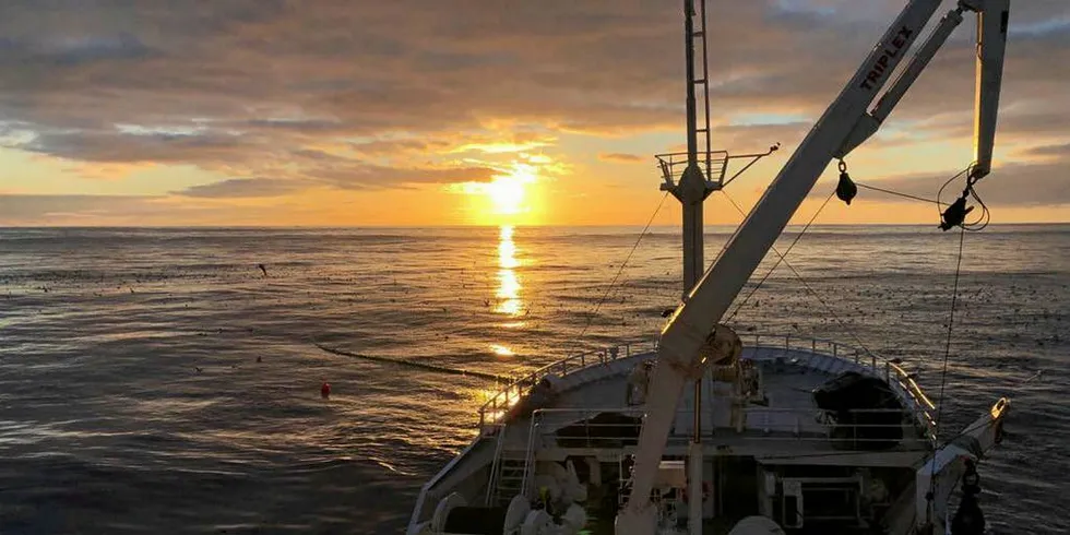 SOL OG BRA FISKE: Fiskerne har registrert svært mye lodde under årets fiske i Barentshavet. Her et bilde av «Vikingbank» i nydelig vær på feltet under årets loddesesong. Båten var den første til å melde inn loddefangst i år.Foto: Privat