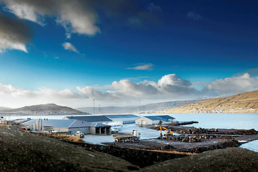 Bakkafrost consolidates moves toward sustainability