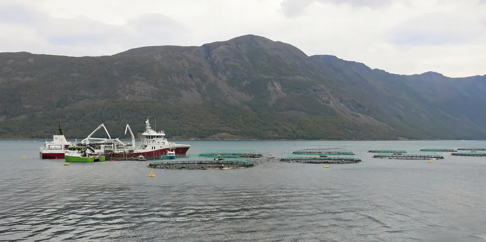 MÅ HA MER AREAL: En havbruksnæring i vekst er avhengig av stadig mer sjøareal. Det er kommunene som setter av areal til havbruk.