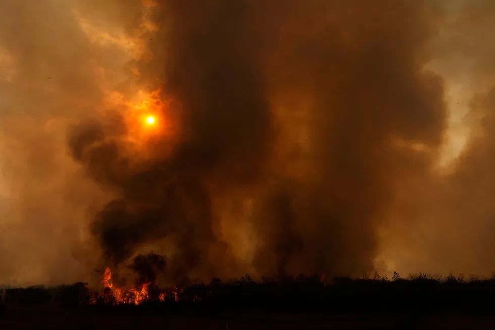 Ablaze: fire consumes part of the Cerrado, on the Brazilian savanna, in September