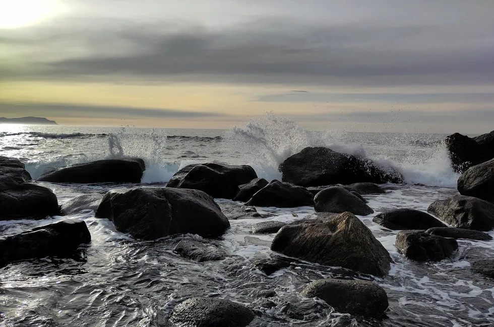 Havet er full av mogleigheiter, skriv Katrine Vestbøstad.