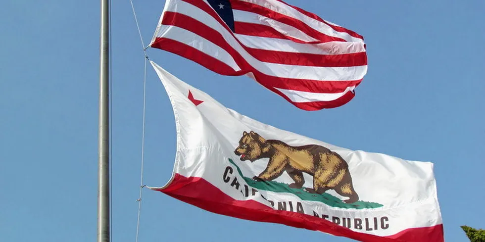California's flag.
