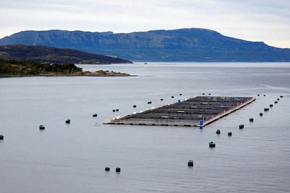 Changing of the guard at Chilean salmon farms.