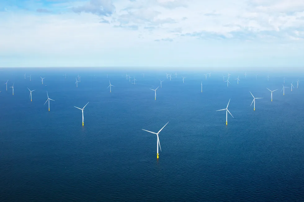 Det danske energiselskapet Ørsted, som er blitt trukket frem som et eksempel på hvordan et oljeselskap kan bli grønt, tapte ifjor over 20 milliarder kroner. Her fra Ørsteds vindpark Borssele I & II utenfor Nederland som åpnet i 2021.