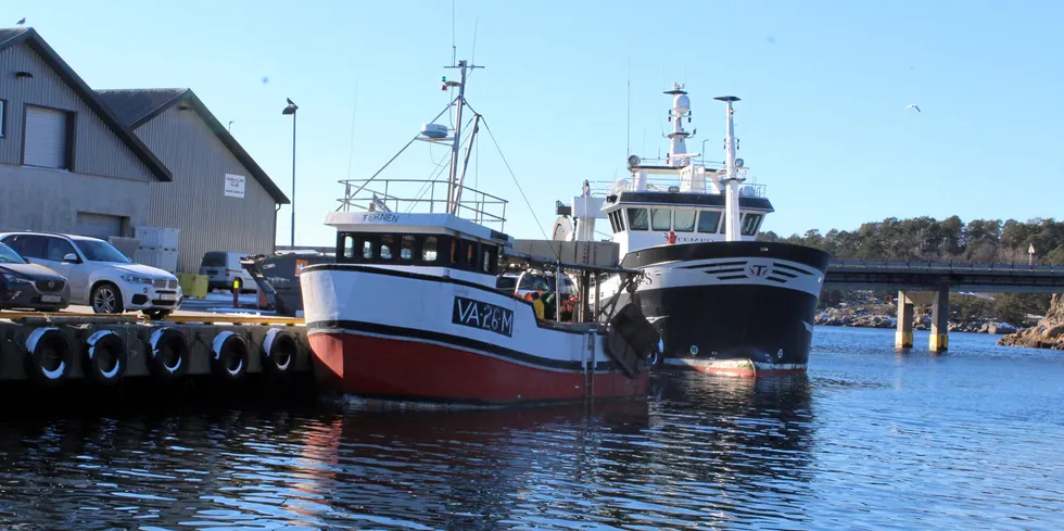 To-tre rekebåter lander fangster til Fiskelagets mottak på Gismerøya. Ved kai «Ternen» av Mandal og «Tempo» av Søgne, Men «Tempo» ble solgt etter at dette bildet ble tatt og det merkes i kvantumet for det lokale mottaket.